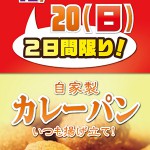 11_27マミー様チラシ_岩槻_入稿データ 11_27マミー様チラシ_岩槻_入稿データ