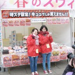 IMG_9508 IMG_9508