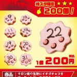 プレイヤーイチゴチョコ プレイヤーイチゴチョコ